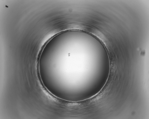 X0000094221135200711021133