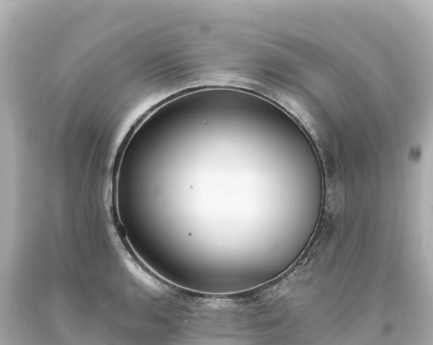 X0000094221136200711021133