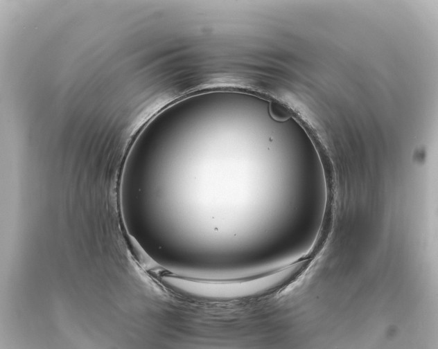 X0000094221137200711021133