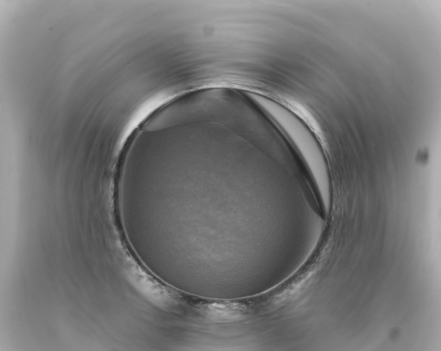 X0000094221138200711021133