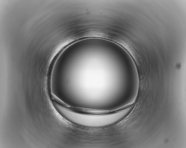 X0000094221139200711021133