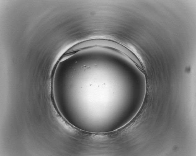 X0000094221140200711021133