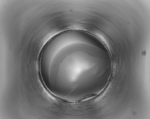 X0000094221141200711021133