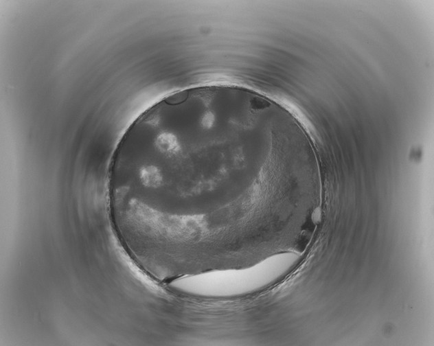 X0000094221142200711021133