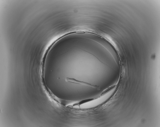 X0000094221144200711021133