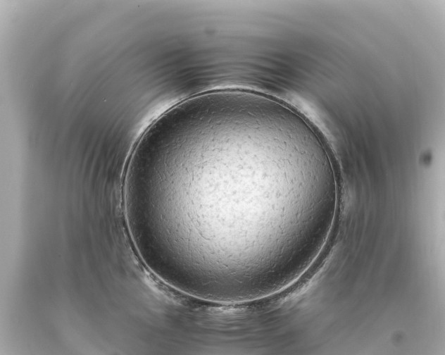 X0000094221145200711021133