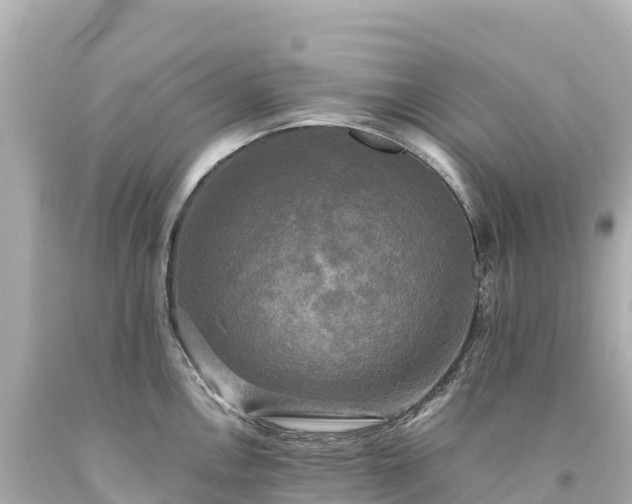 X0000094221146200711021133