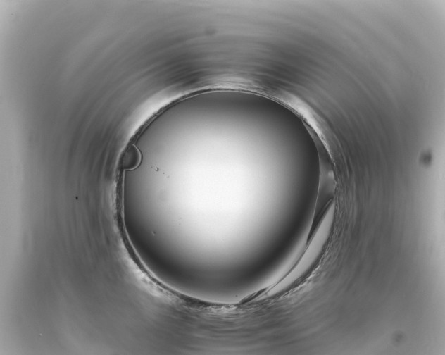 X0000094221147200711021133