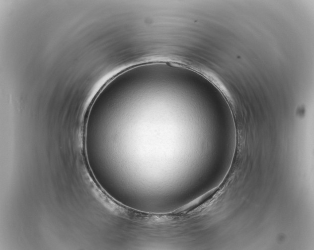 X0000094221148200711021133