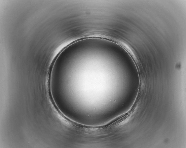 X0000094221149200711021133