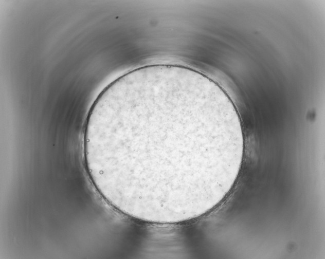 X0000094221150200711021133