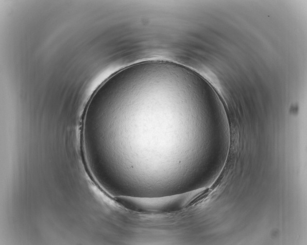 X0000094221151200711021133