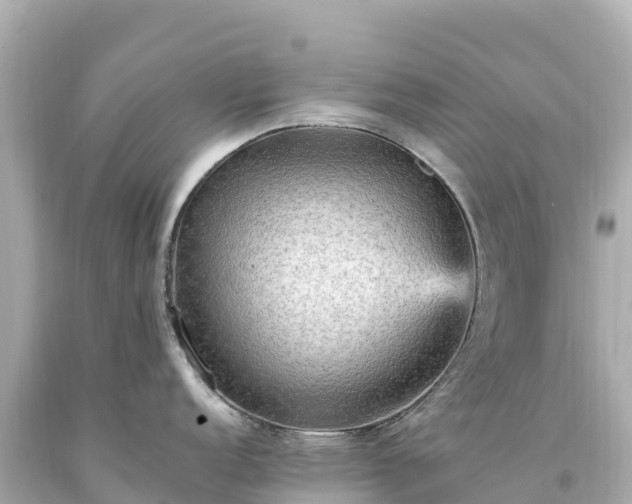 X0000094221152200711021133