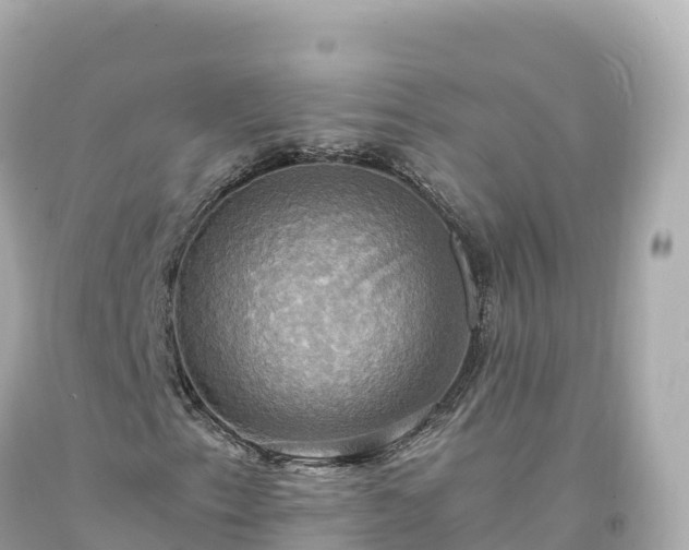 X0000094221153200711021133