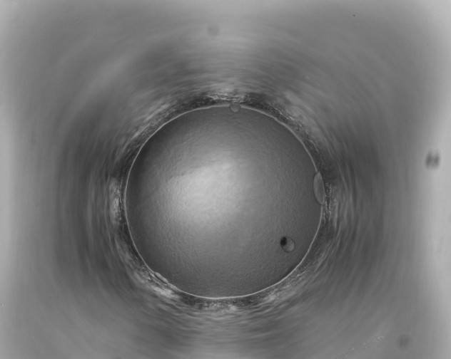 X0000094221154200711021133