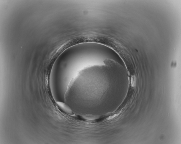 X0000094221155200711021133