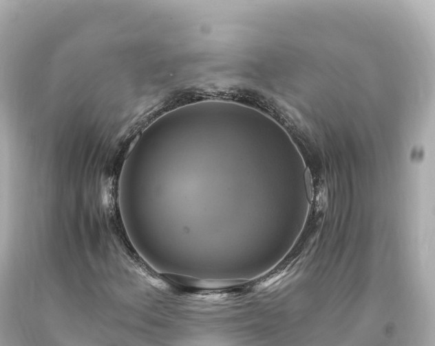 X0000094221156200711021133