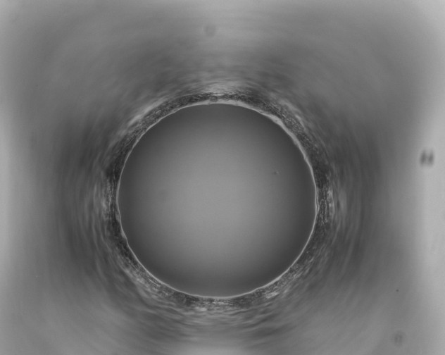 X0000094221158200711021133