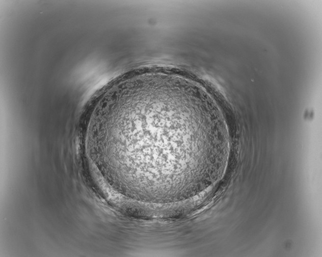 X0000094221159200711021133