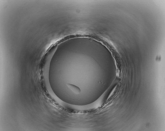 X0000094221160200711021133