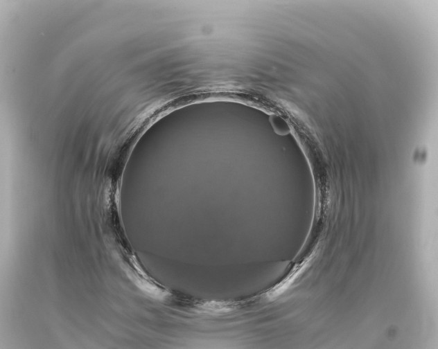 X0000094221161200711021133