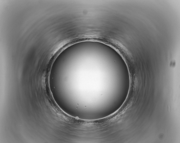 X0000094221162200711021133