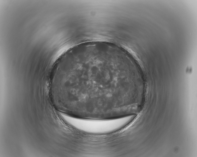 X0000094221163200711021133