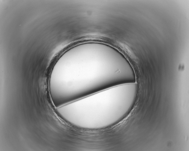 X0000094221164200711021133