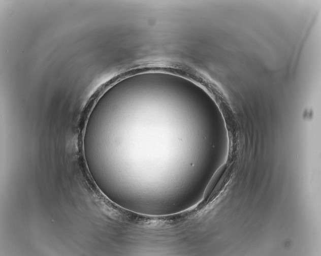 X0000094221166200711021133