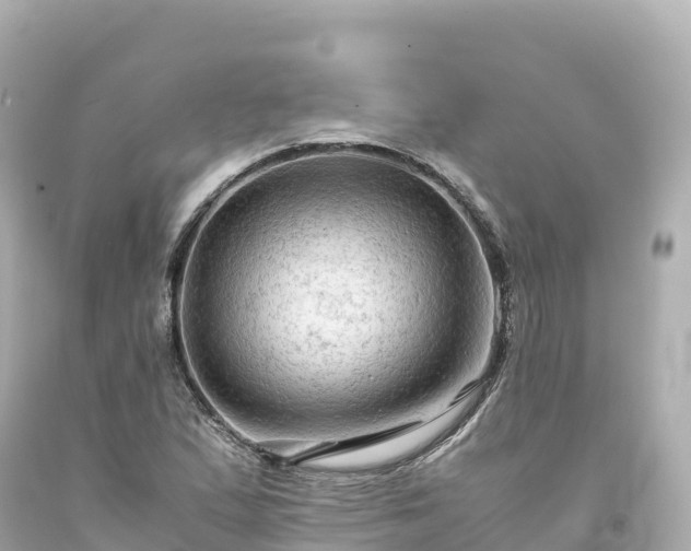 X0000094221167200711021133