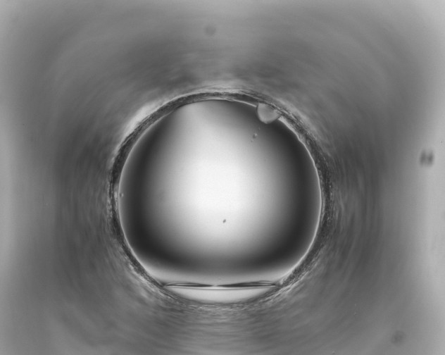 X0000094221168200711021132