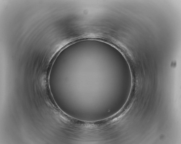 X0000094221170200711021132