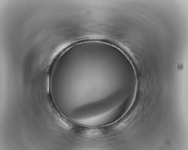 X0000094221171200711021132