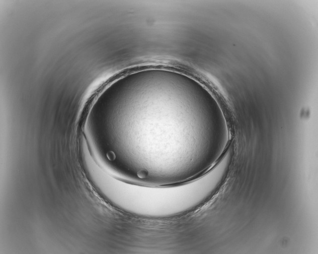 X0000094221172200711021132