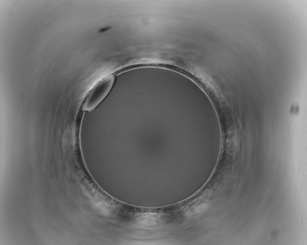 X0000094221173200711021132