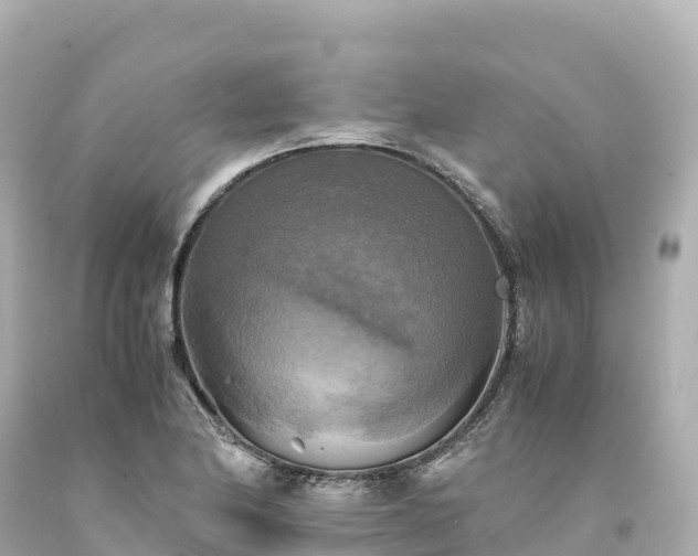 X0000094221174200711021132