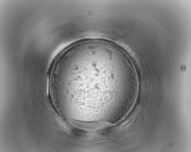 X0000094221175200711021132