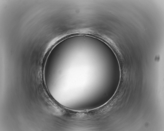 X0000094221176200711021132