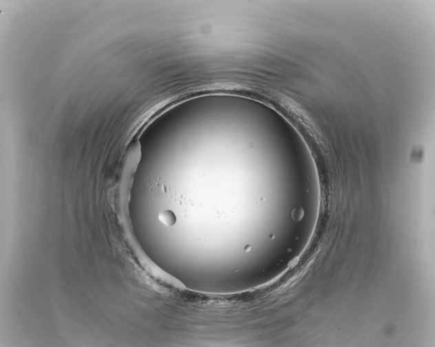 X0000094221177200711021132