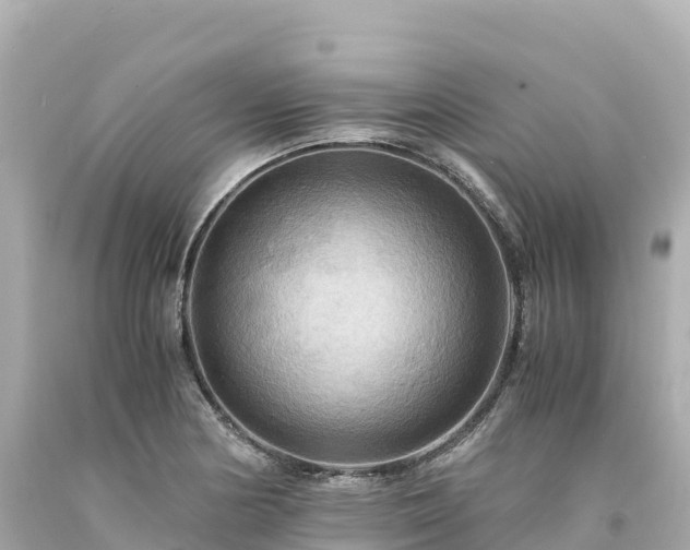 X0000094221178200711021132