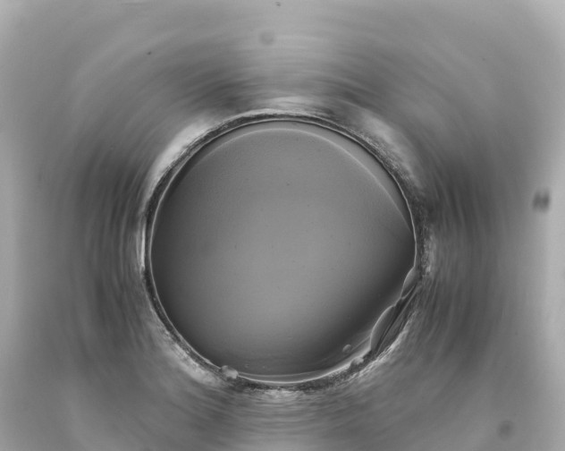 X0000094221180200711021132