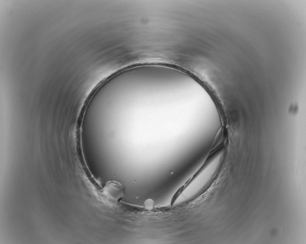 X0000094221181200711021132