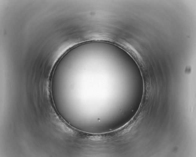 X0000094221182200711021132