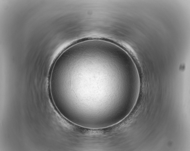 X0000094221183200711021132