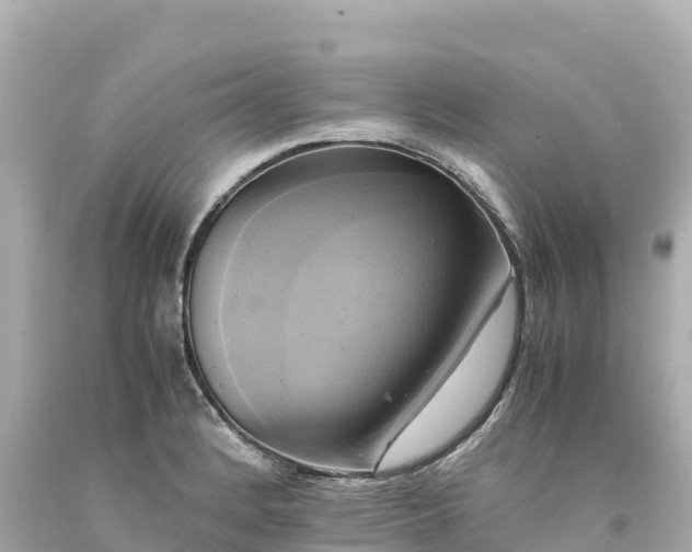 X0000094221184200711021132