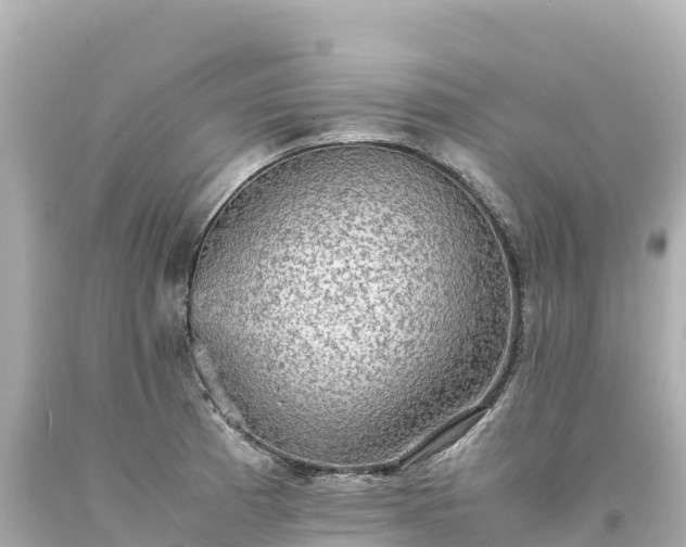 X0000094221185200711021132