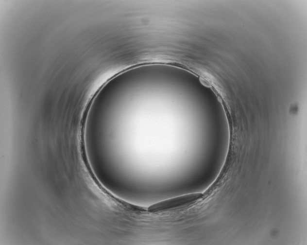 X0000094221187200711021132