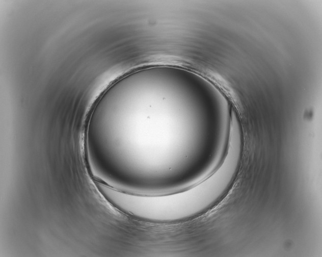 X0000094221188200711021132