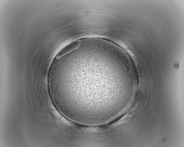 X0000094221189200711021132