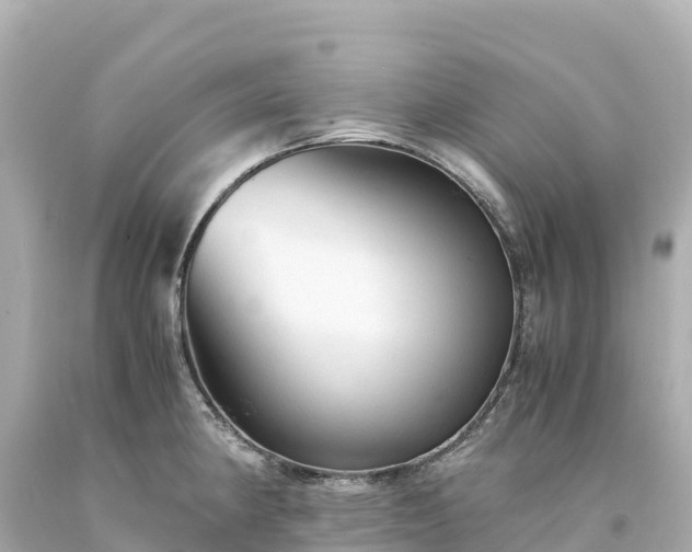 X0000094221190200711021132